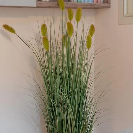 La Nassa Apartament Alghero