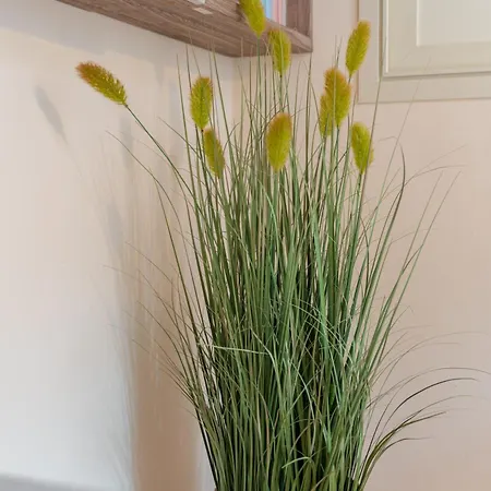 Apartament La Nassa Alghero