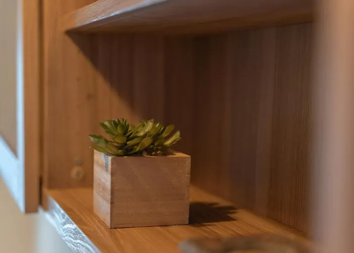 La Nassa アパート