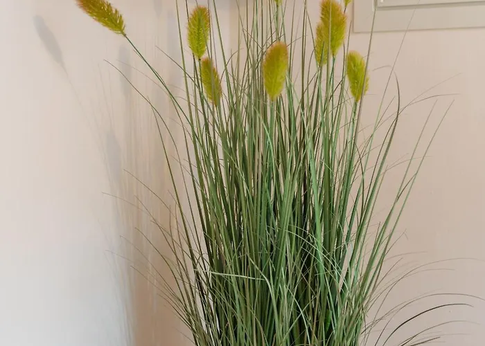 アパート La Nassa アルゲーロ